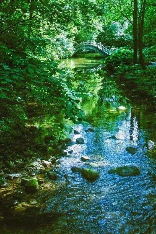 梦幻西游手游